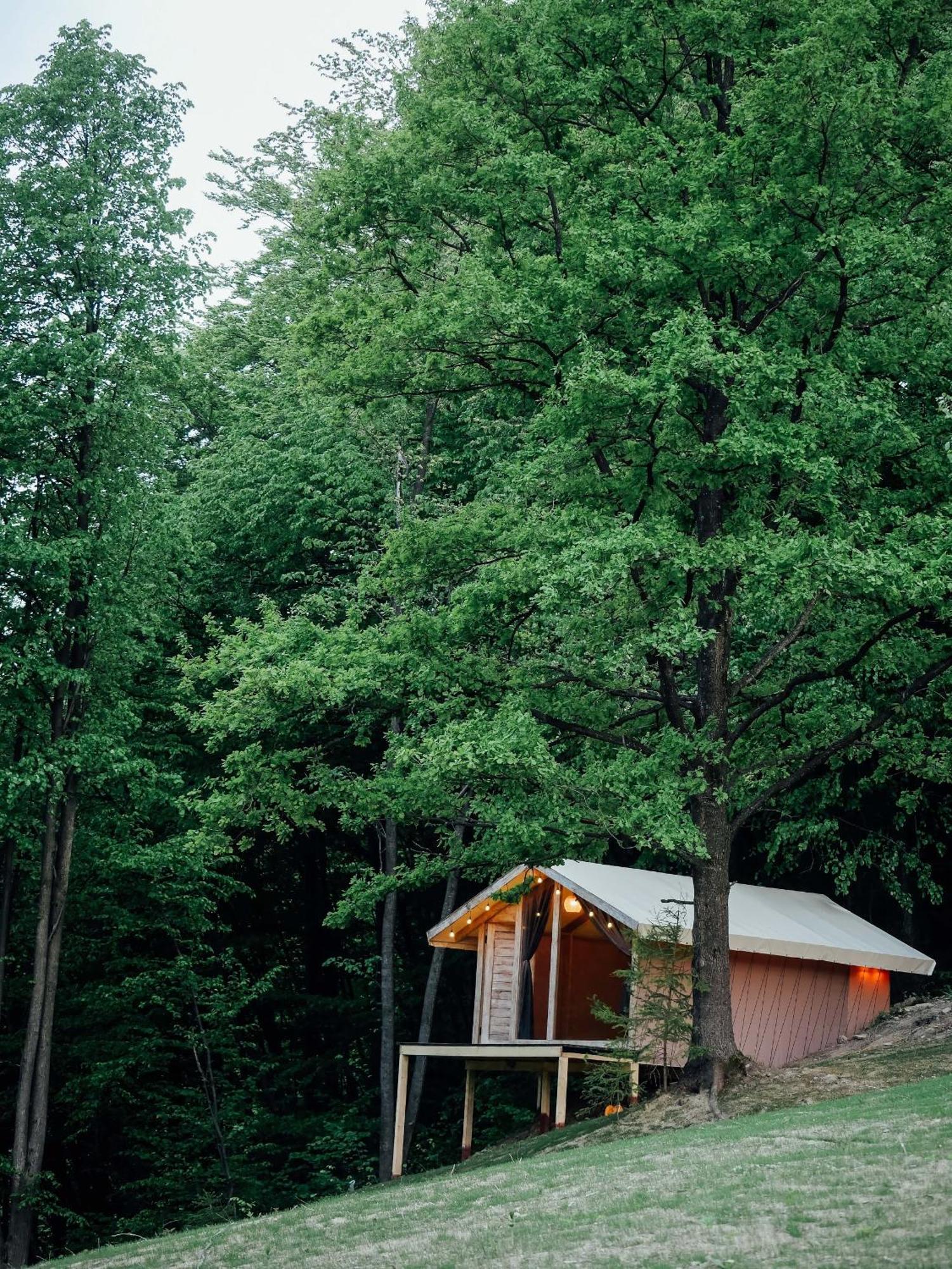 Aж у небі Holiday home *